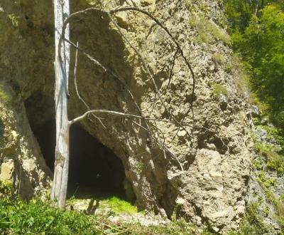 Потомки  абрека Зелимхана в знаменитой пещере под Харачоем.(видео)