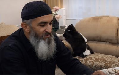 ����� �������� � 